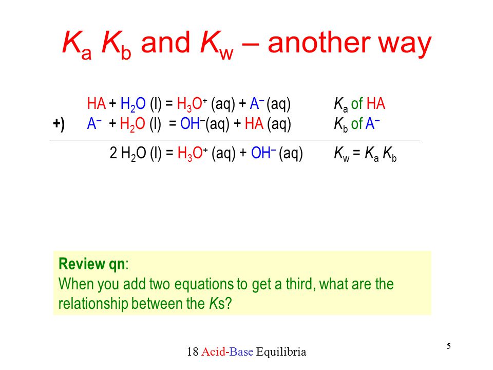 A In Relationship What 5 The Are Bases A In Relationship What 5 The Are Bases