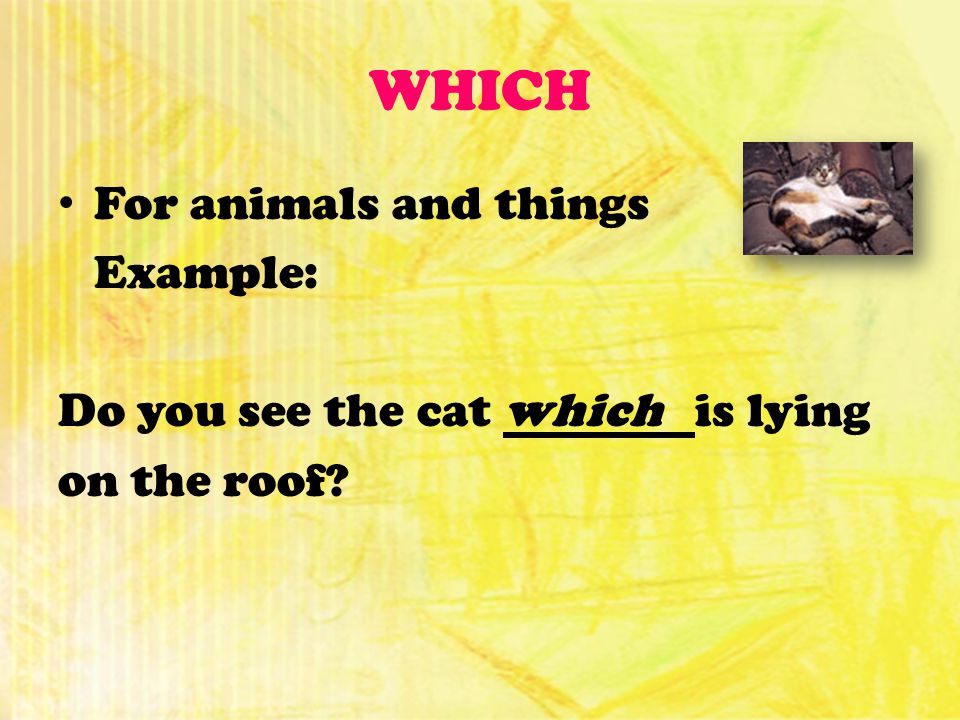 WHICH For animals and things Example: Do you see the cat which is lying on the roof
