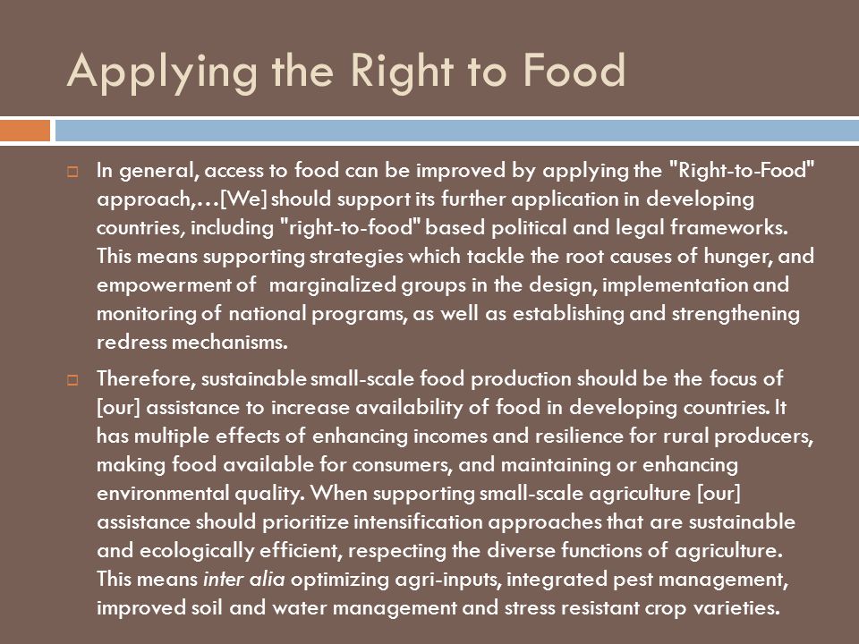 Applying the Right to Food  In general, access to food can be improved by applying the Right-to-Food approach,…[We] should support its further application in developing countries, including right-to-food based political and legal frameworks.