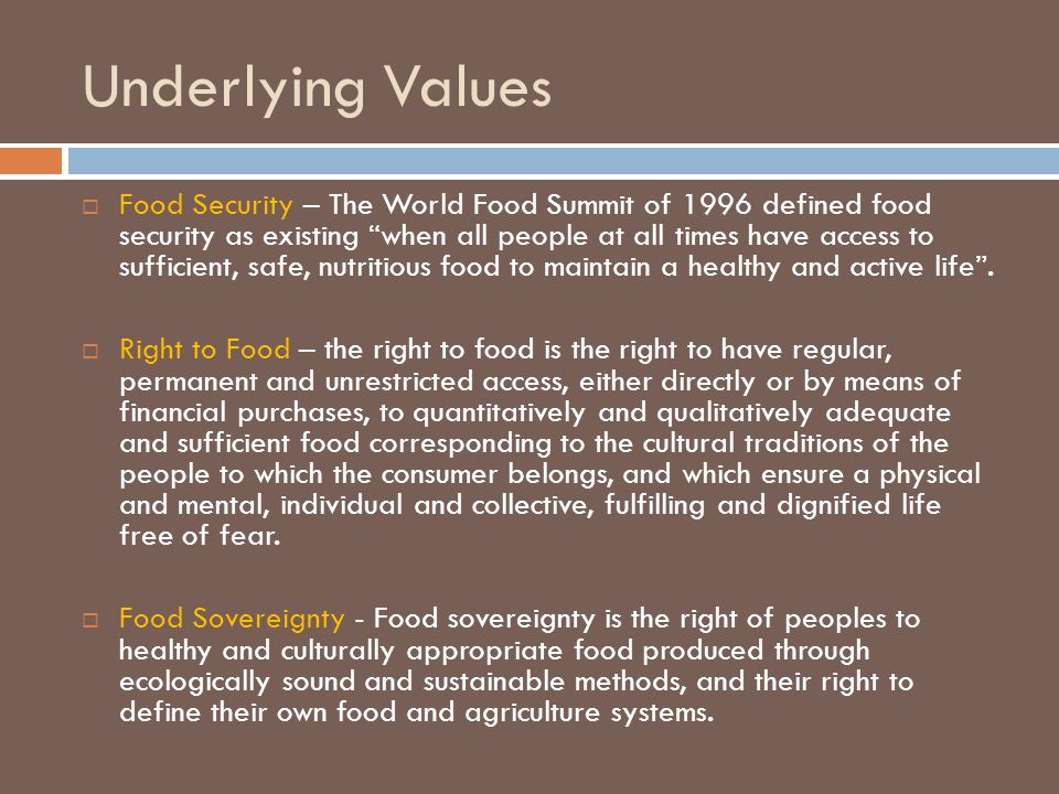 Underlying Values  Food Security – The World Food Summit of 1996 defined food security as existing when all people at all times have access to sufficient, safe, nutritious food to maintain a healthy and active life .