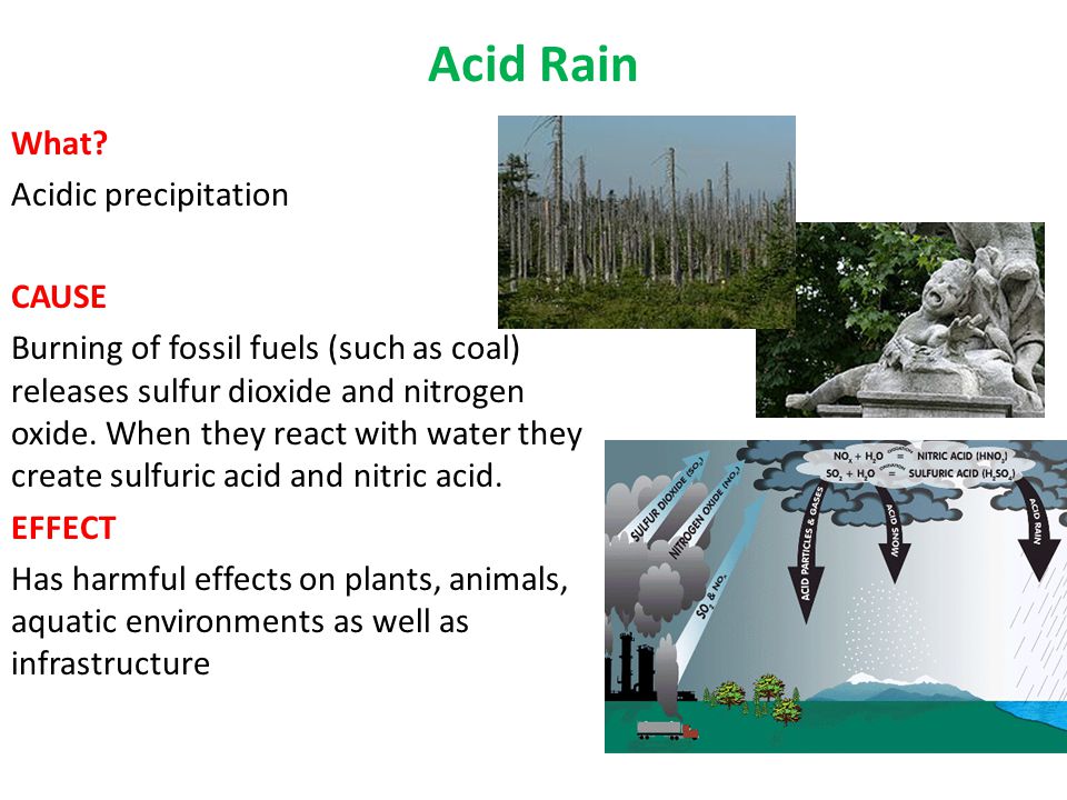 Acid Rain What.