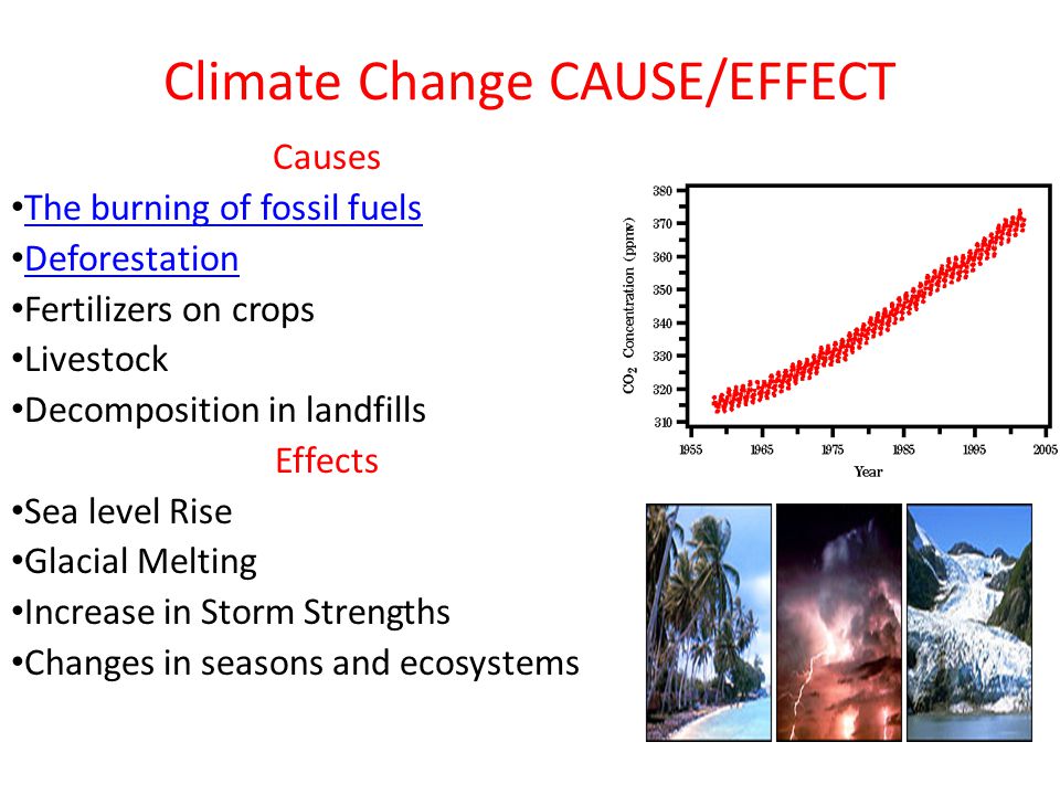 Climate Change CAUSE/EFFECT Causes The burning of fossil fuels Deforestation Fertilizers on crops Livestock Decomposition in landfills Effects Sea level Rise Glacial Melting Increase in Storm Strengths Changes in seasons and ecosystems