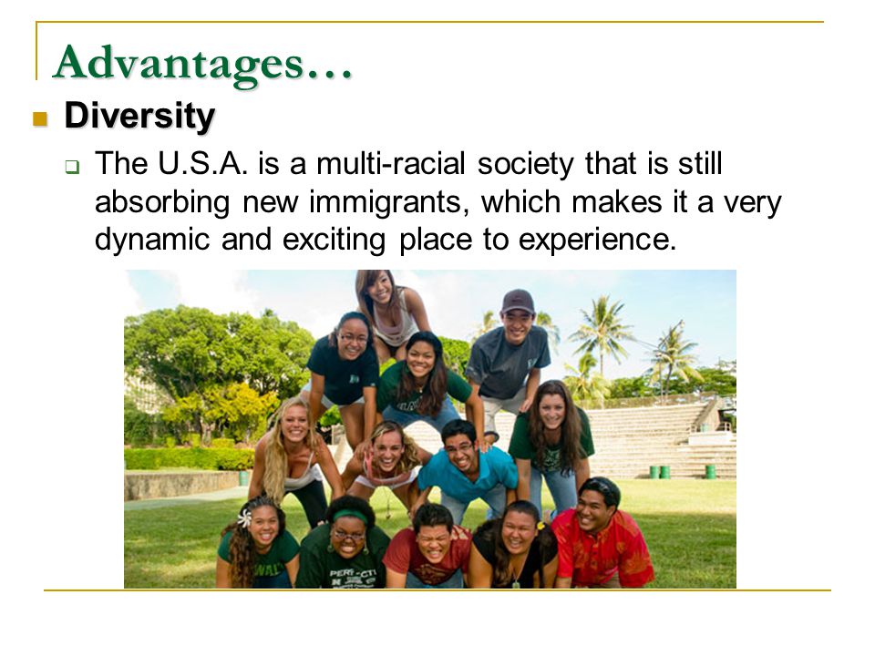Diversity Diversity  The U.S.A.