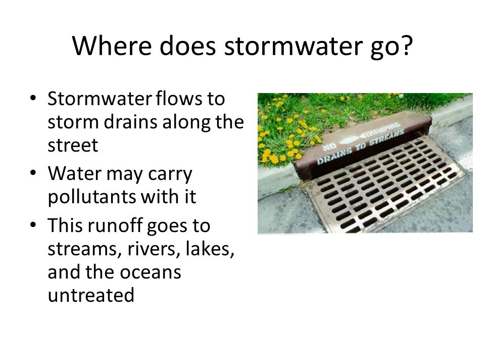 Where does stormwater go.