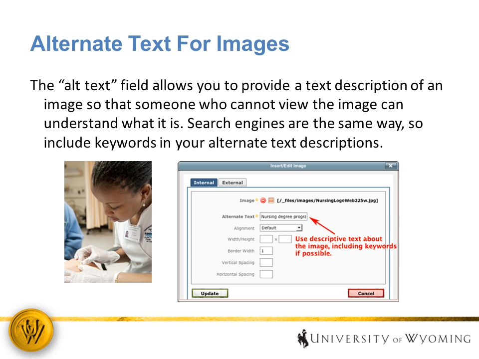 Alternate Text For Images The alt text field allows you to provide a text description of an image so that someone who cannot view the image can understand what it is.