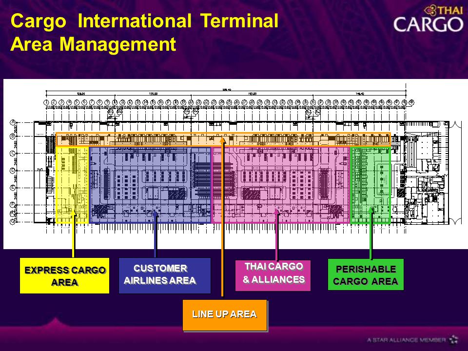 EXPRESS CARGO AREA CUSTOMER AIRLINES AREA THAI CARGO & ALLIANCES PERISHABLE CARGO AREA Cargo International Terminal Area Management LINE UP AREA