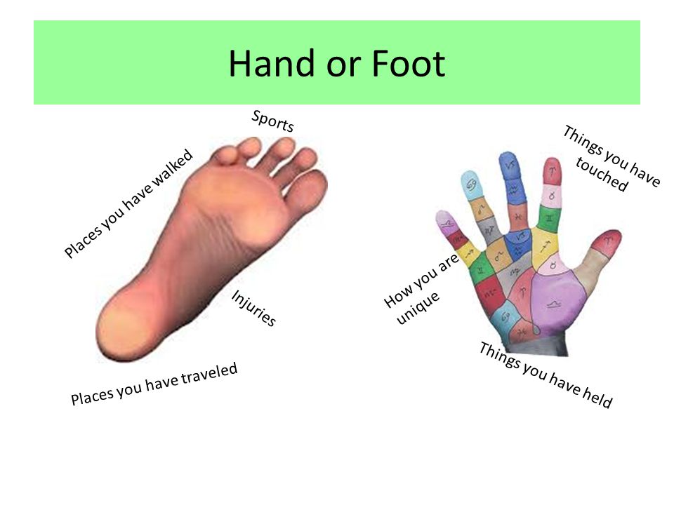 Hand or Foot Places you have traveled Places you have walked Injuries Sports Things you have held Things you have touched How you are unique