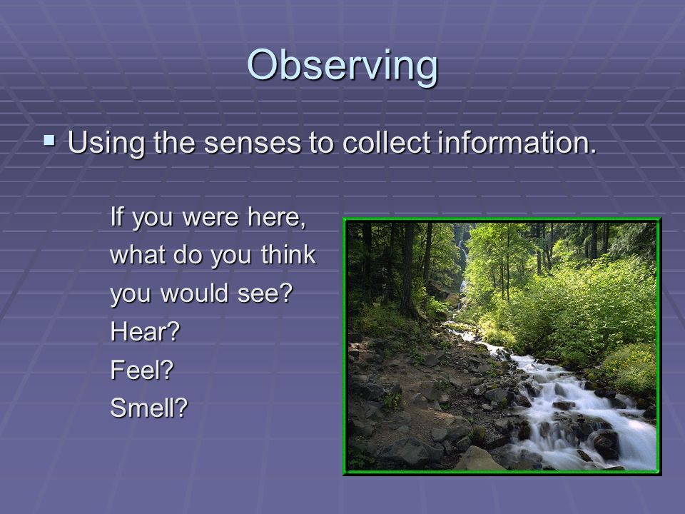 Observing  Using the senses to collect information.
