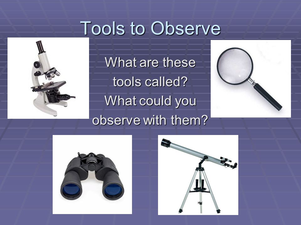Tools to Observe What are these tools called What could you observe with them