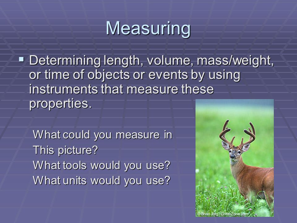 Measuring  Determining length, volume, mass/weight, or time of objects or events by using instruments that measure these properties.
