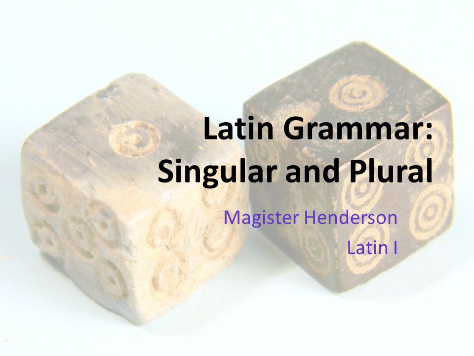 Latin Grammar: Singular and Plural Magister Henderson Latin I