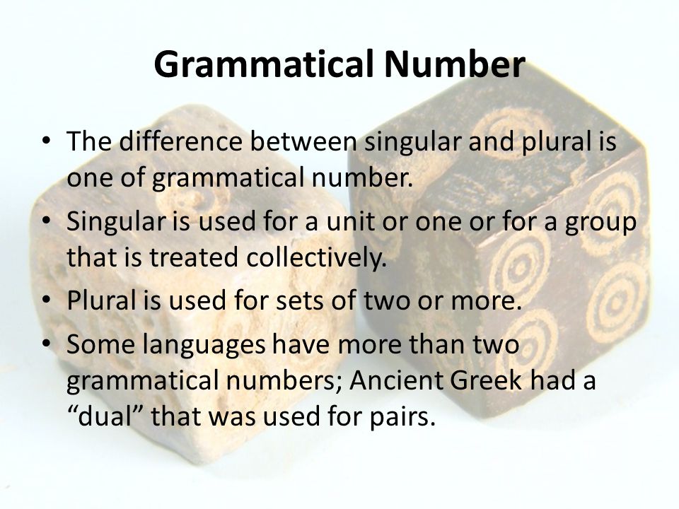 Grammatical Number The difference between singular and plural is one of grammatical number.