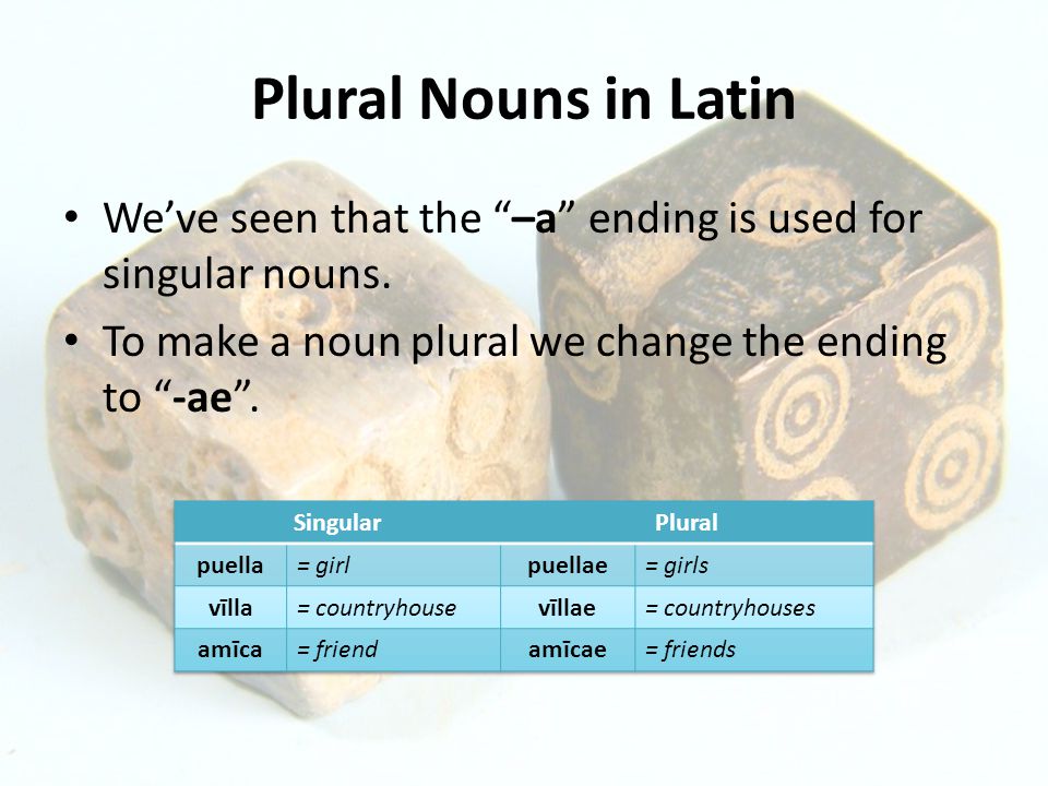 Plural Nouns in Latin We’ve seen that the –a ending is used for singular nouns.