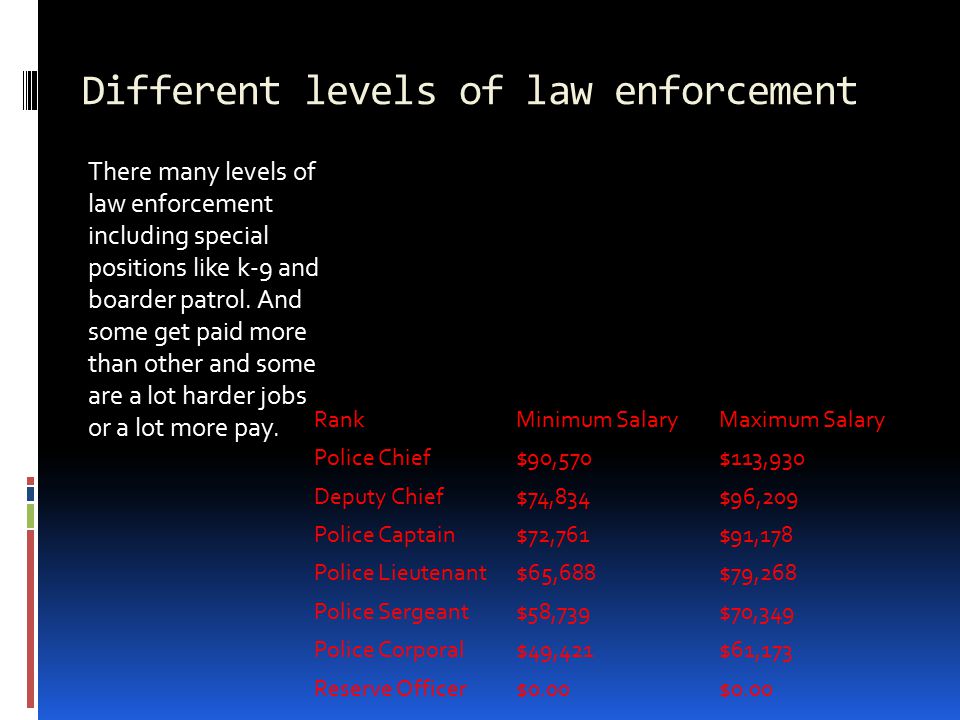 Different levels of law enforcement There many levels of law enforcement including special positions like k-9 and boarder patrol.
