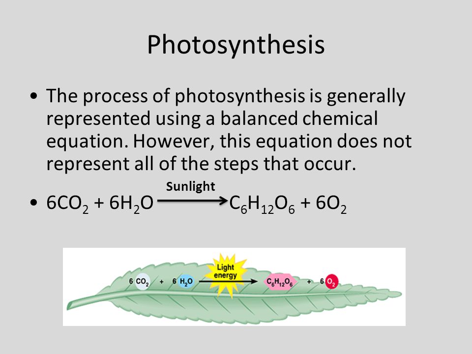 What Is The Balanced Chemical Equation For Photosynthesis And Balanced Equation Photosynthesis Talkchannels
