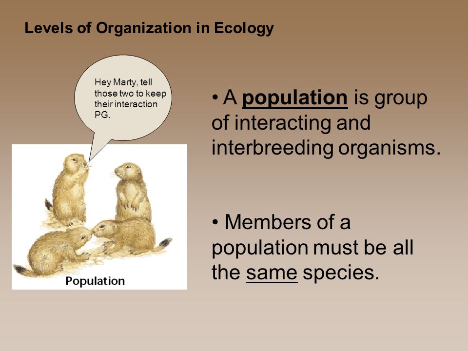 Levels of Organization in Ecology A population is group of interacting and interbreeding organisms.