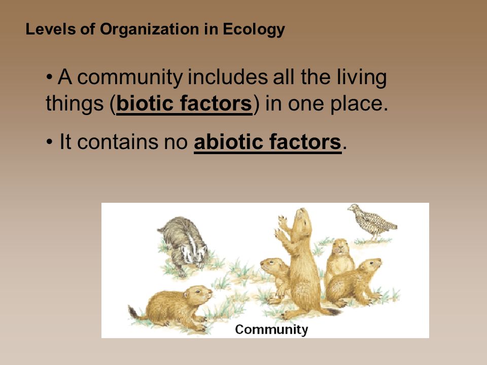 Levels of Organization in Ecology A community includes all the living things (biotic factors) in one place.