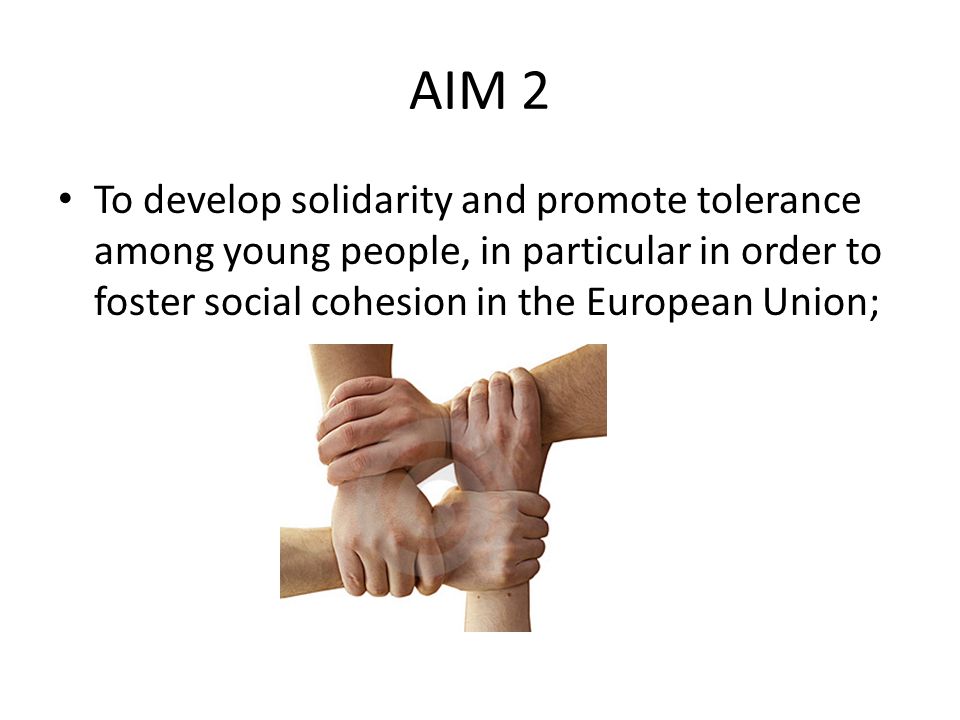AIM 2 To develop solidarity and promote tolerance among young people, in particular in order to foster social cohesion in the European Union;