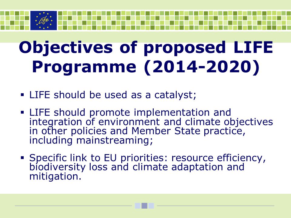 Objectives of proposed LIFE Programme ( )  LIFE should be used as a catalyst;  LIFE should promote implementation and integration of environment and climate objectives in other policies and Member State practice, including mainstreaming;  Specific link to EU priorities: resource efficiency, biodiversity loss and climate adaptation and mitigation.