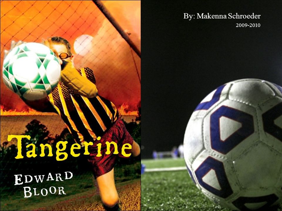 alternate ending to tangerine by edward bloor essay alternate ending to tangerine by edward bloor essay
