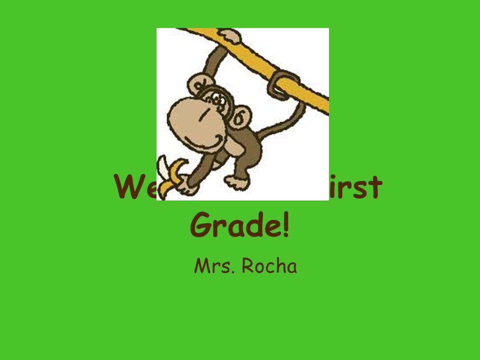 Welcome to First Grade! Mrs. Rocha