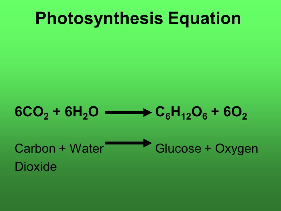 photosythesis equation photosythesis equation