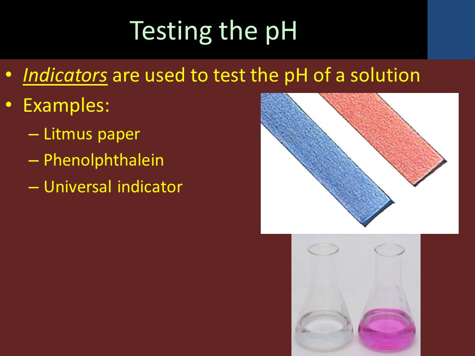 Testing the pH Indicators are used to test the pH of a solution Examples: – Litmus paper – Phenolphthalein – Universal indicator