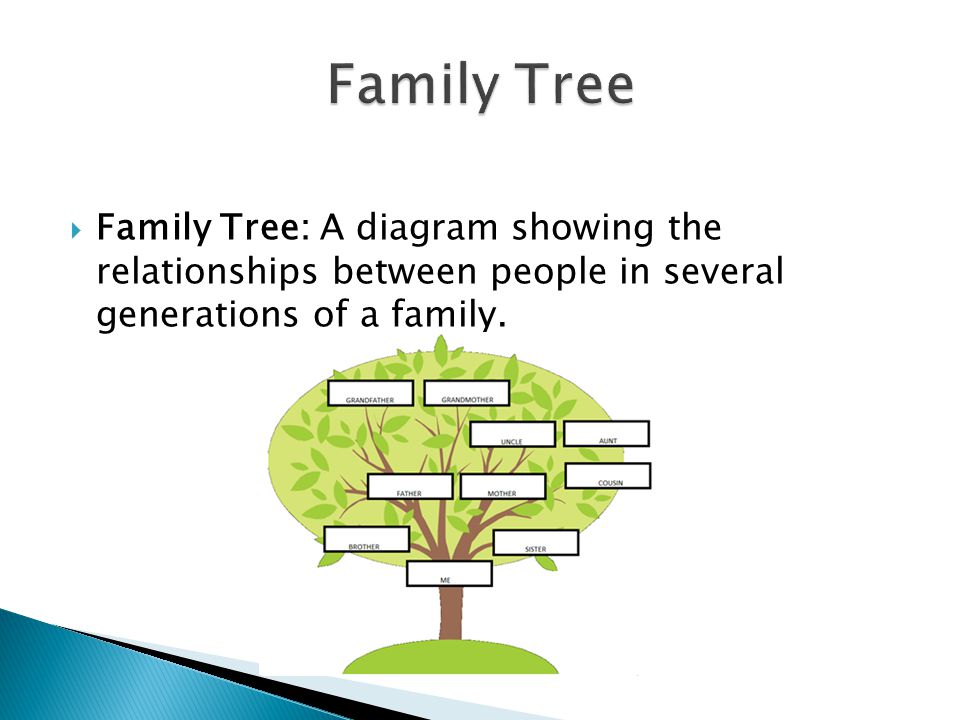  Family Tree: A diagram showing the relationships between people in several generations of a family.