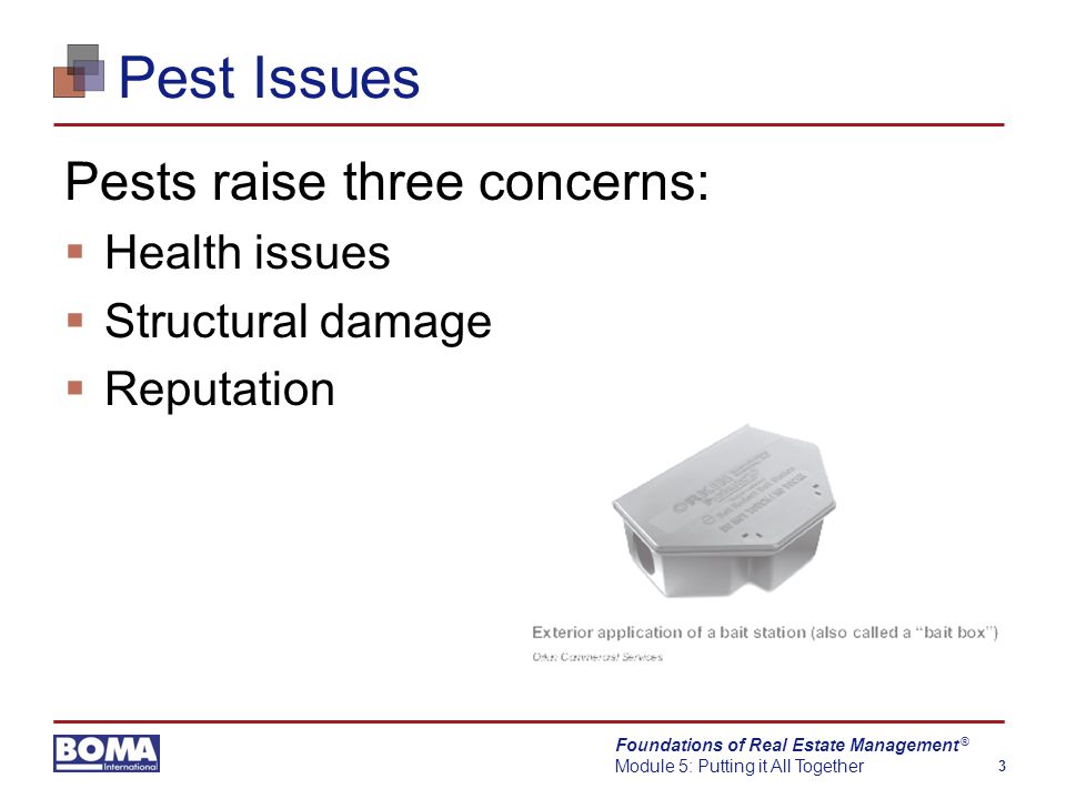 Foundations of Real Estate Management Module 5: Putting it All Together 3 ® Pest Issues Pests raise three concerns:  Health issues  Structural damage  Reputation