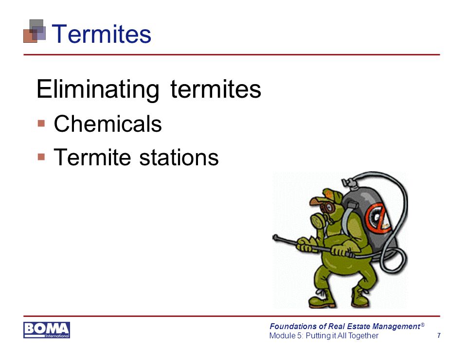 Foundations of Real Estate Management Module 5: Putting it All Together 7 ® Termites Eliminating termites  Chemicals  Termite stations