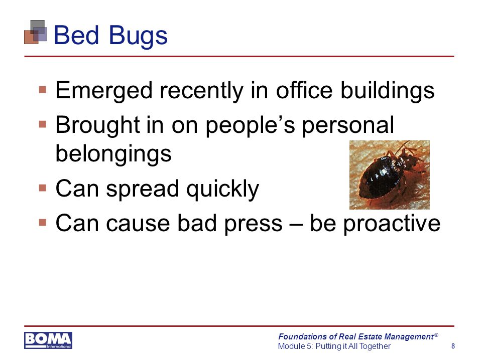 Foundations of Real Estate Management Module 5: Putting it All Together 8 ® Bed Bugs  Emerged recently in office buildings  Brought in on people’s personal belongings  Can spread quickly  Can cause bad press – be proactive