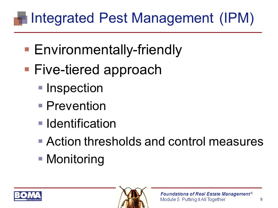 Foundations of Real Estate Management Module 5: Putting it All Together 9 ®  Environmentally-friendly  Five-tiered approach  Inspection  Prevention  Identification  Action thresholds and control measures  Monitoring Integrated Pest Management (IPM)