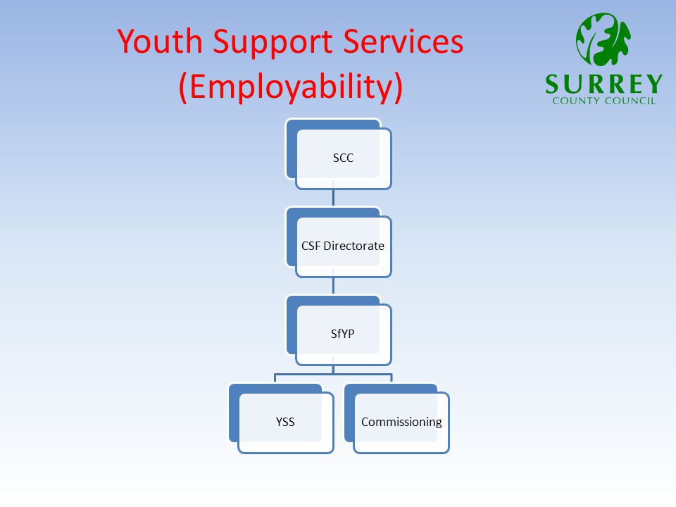 Youth Support Services (Employability) SCCCSF DirectorateSfYPYSSCommissioning