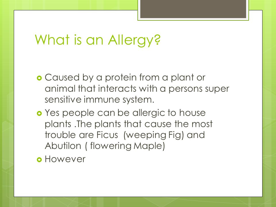 What is an Allergy.