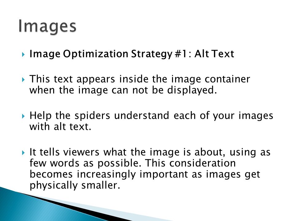  Image Optimization Strategy #1: Alt Text  This text appears inside the image container when the image can not be displayed.