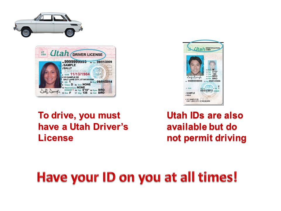 To drive, you must have a Utah Driver’s License Utah IDs are also available but do not permit driving