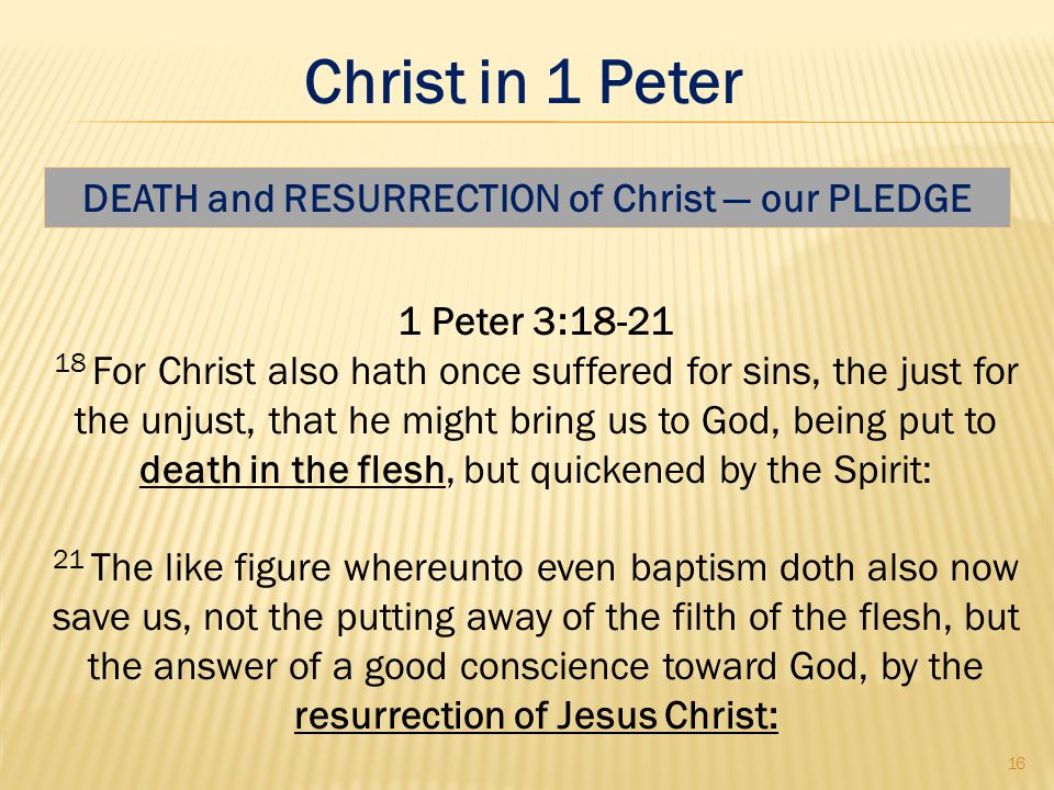 1 Peter 3: For Christ also hath once suffered for sins, the just for the unjust, that he might bring us to God, being put to death in the flesh, but quickened by the Spirit: 21 The like figure whereunto even baptism doth also now save us, not the putting away of the filth of the flesh, but the answer of a good conscience toward God, by the resurrection of Jesus Christ: DEATH and RESURRECTION of Christ — our PLEDGE 16 Christ in 1 Peter