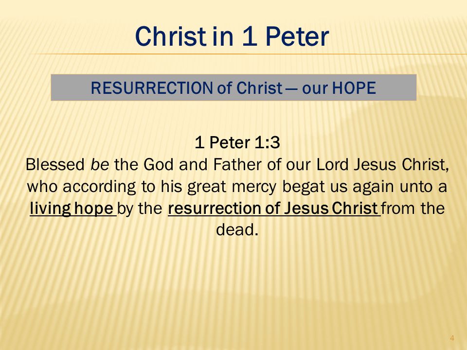 1 Peter 1:3 Blessed be the God and Father of our Lord Jesus Christ, who according to his great mercy begat us again unto a living hope by the resurrection of Jesus Christ from the dead.