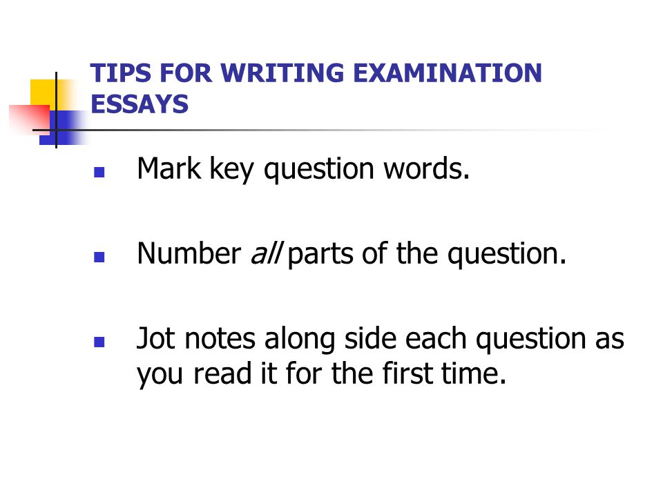 commenting essay commenting essay