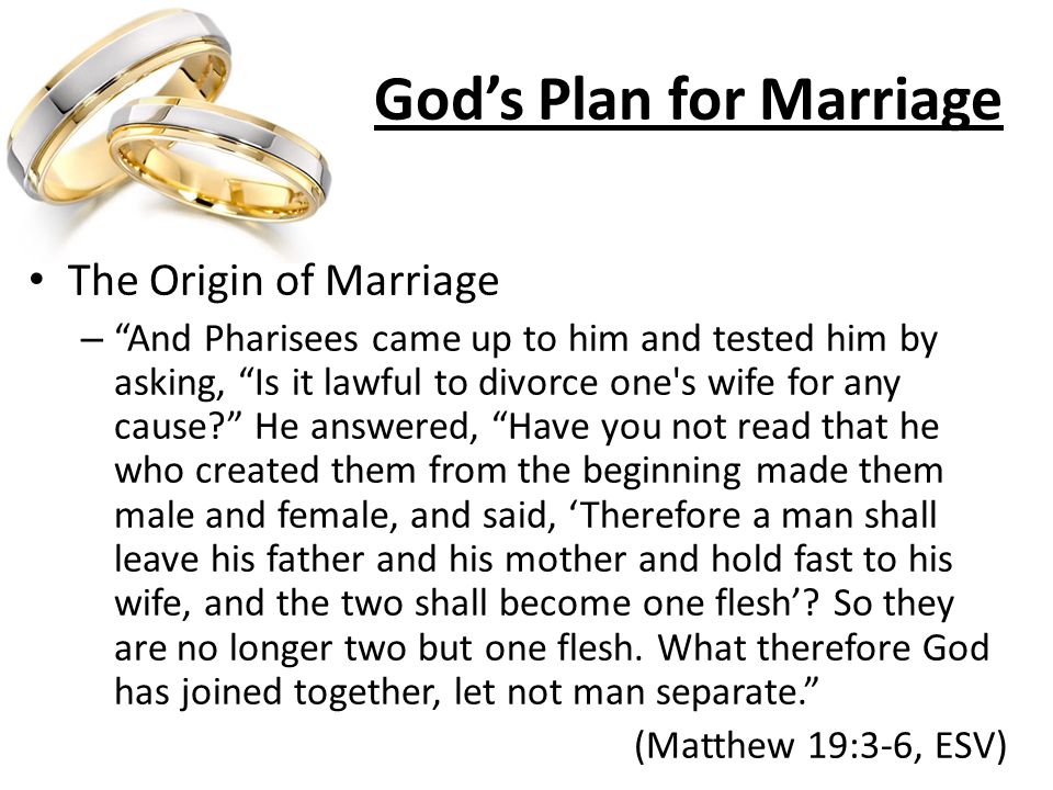 God’s Plan for Marriage The Origin of Marriage – And Pharisees came up to him and tested him by asking, Is it lawful to divorce one s wife for any cause He answered, Have you not read that he who created them from the beginning made them male and female, and said, ‘Therefore a man shall leave his father and his mother and hold fast to his wife, and the two shall become one flesh’.