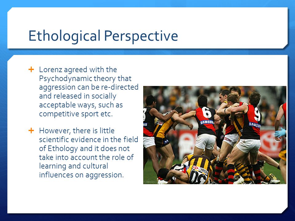 Ethological Perspective  Lorenz agreed with the Psychodynamic theory that aggression can be re-directed and released in socially acceptable ways, such as competitive sport etc.