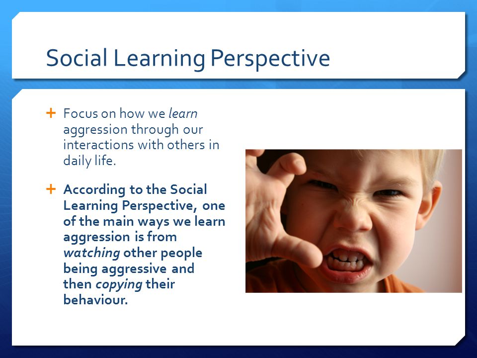 Social Learning Perspective  Focus on how we learn aggression through our interactions with others in daily life.