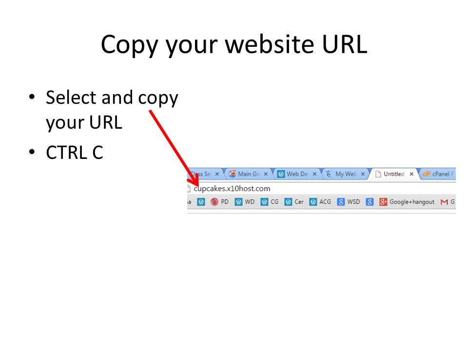 Copy your website URL Select and copy your URL CTRL C