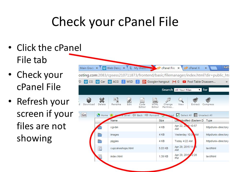 Check your cPanel File Click the cPanel File tab Check your cPanel File Refresh your screen if your files are not showing