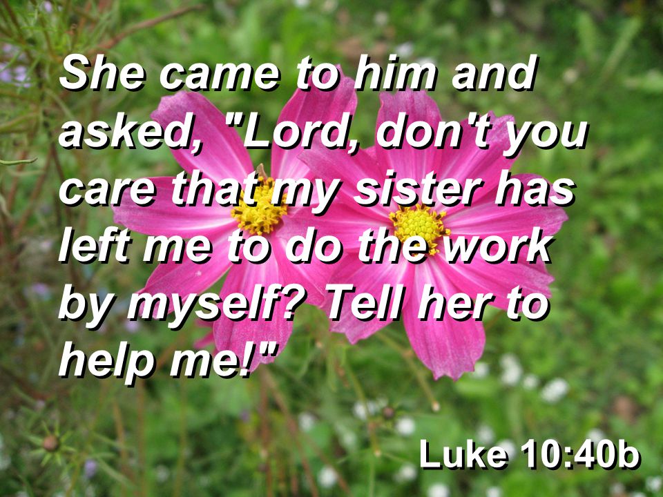 Luke 10:40b She came to him and asked, Lord, don t you care that my sister has left me to do the work by myself.