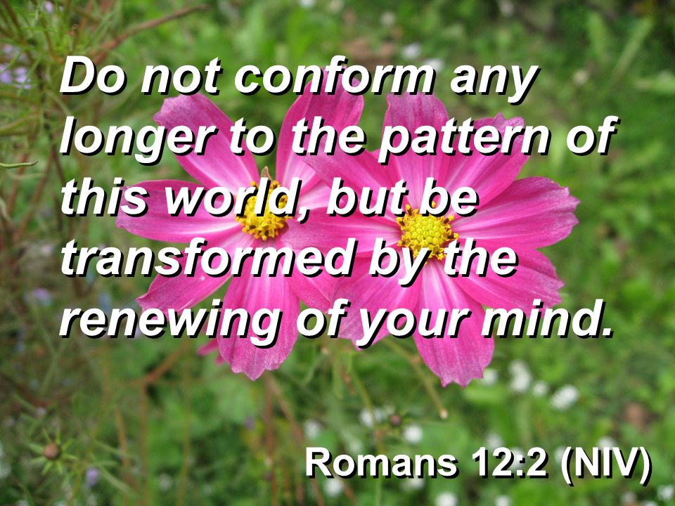 Romans 12:2 (NIV) Do not conform any longer to the pattern of this world, but be transformed by the renewing of your mind.