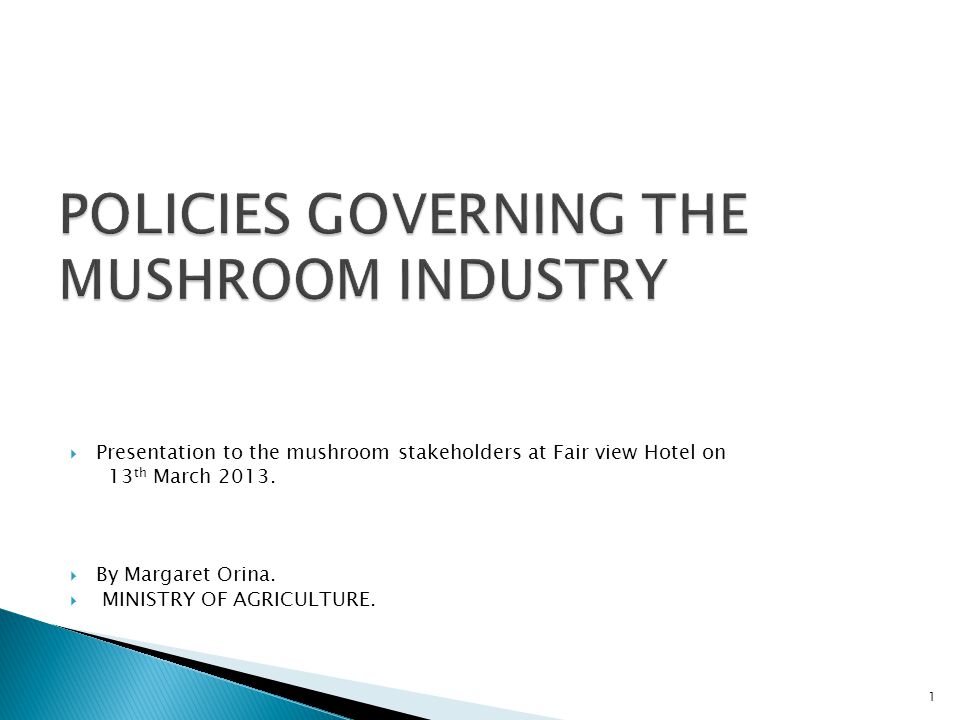  Presentation to the mushroom stakeholders at Fair view Hotel on 13 th March 2013.