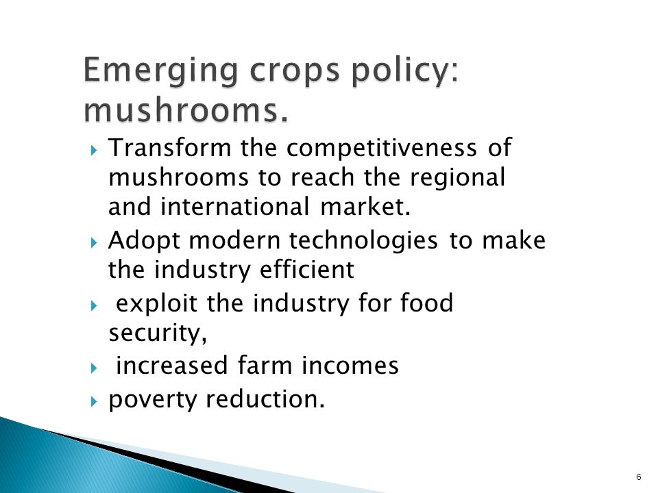  Transform the competitiveness of mushrooms to reach the regional and international market.
