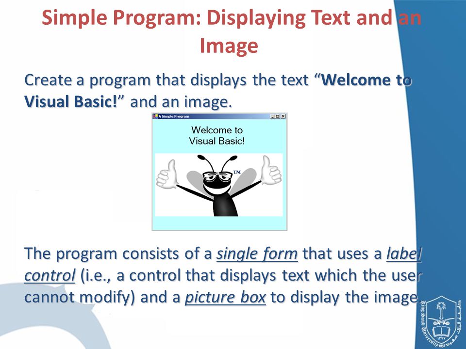Simple Program: Displaying Text and an Image Create a program that displays the text Welcome to Visual Basic! and an image.