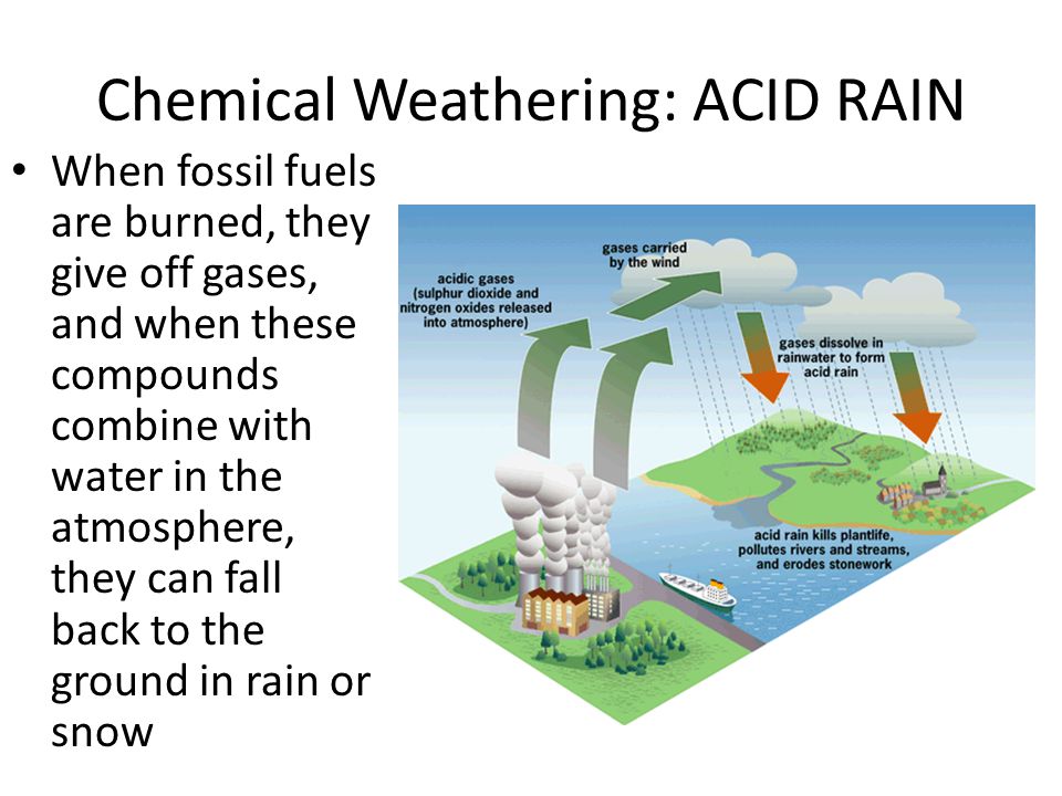 the causes of acid rain and Forests it is thought that acid rain can cause trees to grow more slowly or even to die but scientists have found that it is not the only cause. the causes of acid rain and Forests it is thought that acid rain can cause trees to grow more slowly or even to die but scientists have found that it is not the only cause.